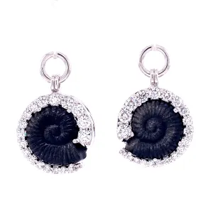 Carved Obsidian Ammonite Jackets